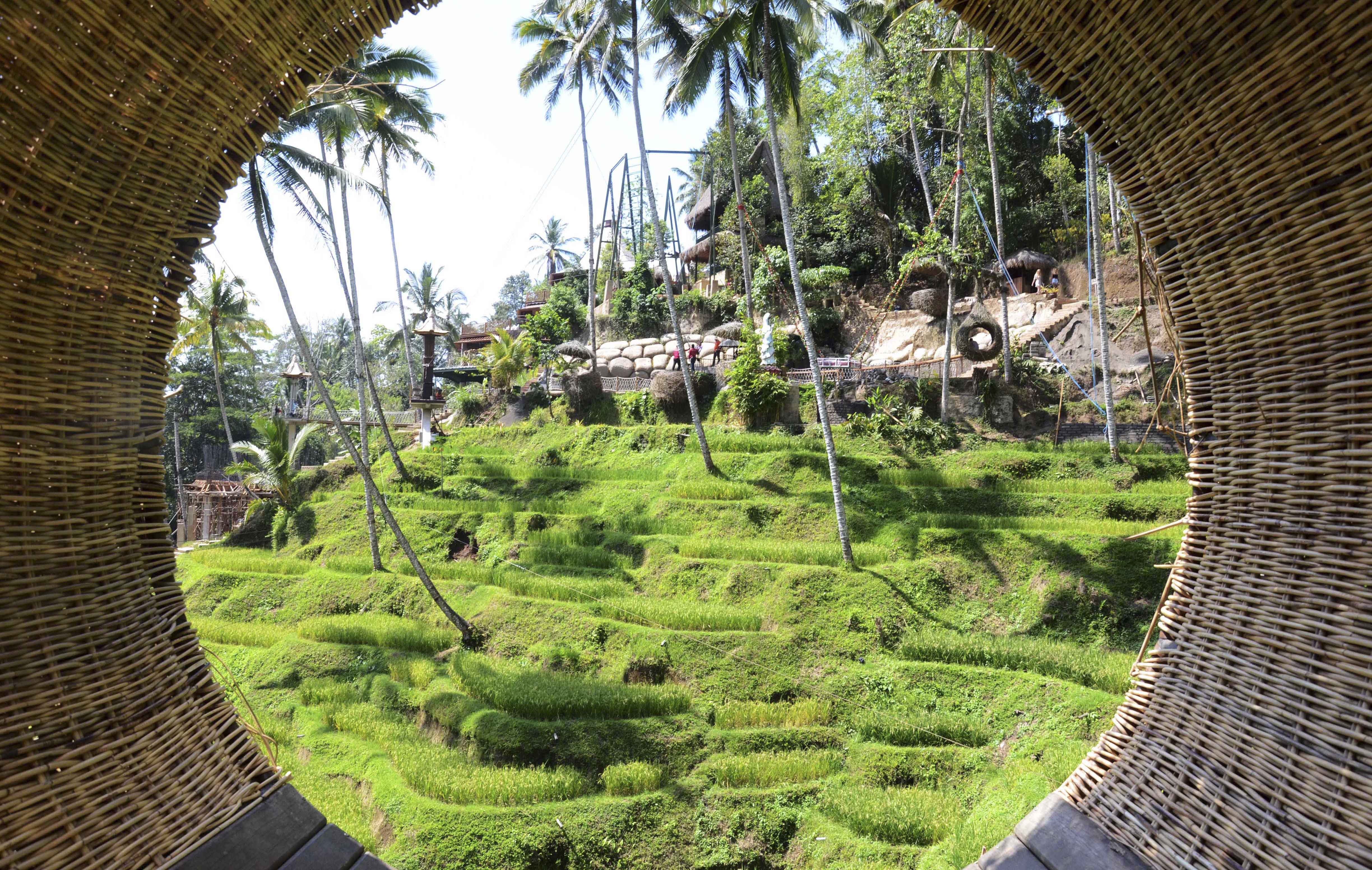 Things to do in Ubud