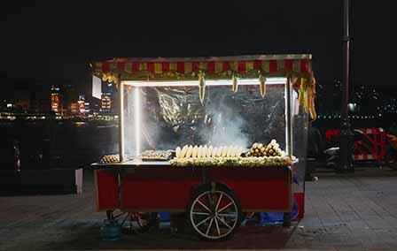 Traditional Food in Turkey